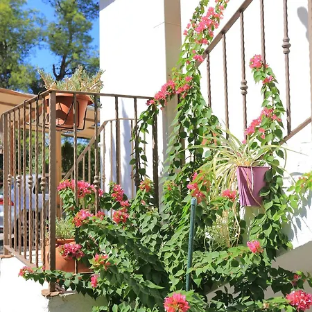 Apartman Okrug Donji 12502c *